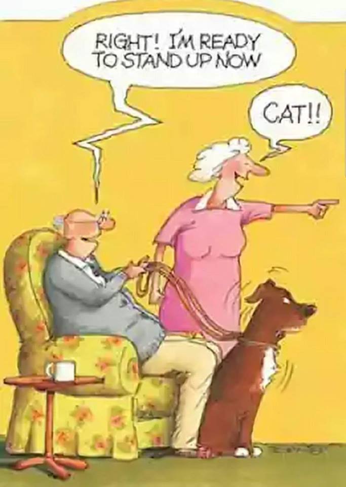NewMobilityCartoon02012019.jpg